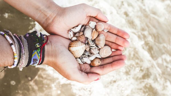 Hands full of sea shells