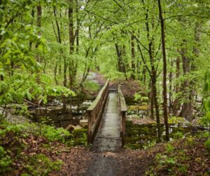 walking trail