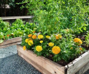 raised garden bed with flowers