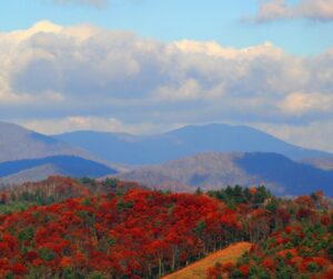 Appalachian Mountains in Tennessee