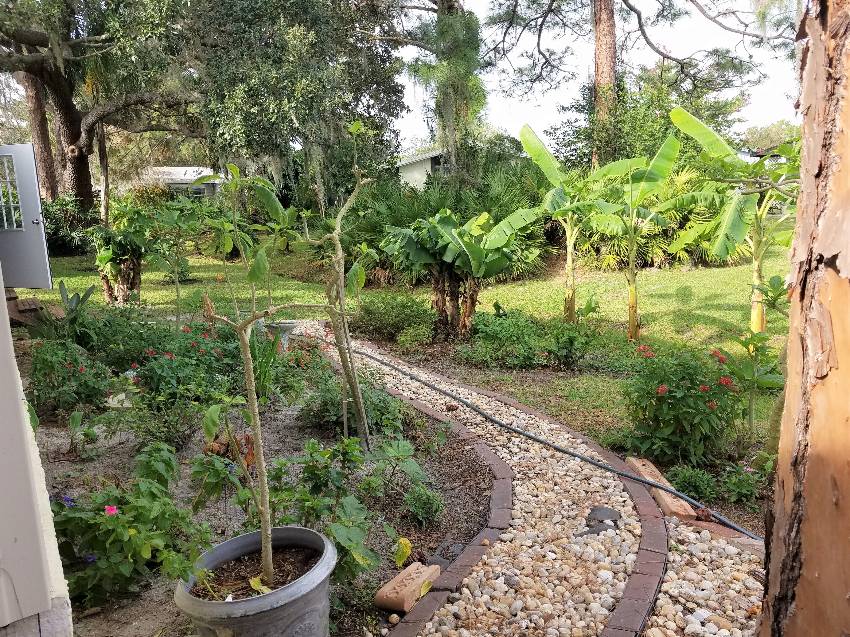 Mobile Home Landscaping Ideas