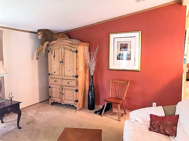 Mobile Home Living Room Decorating Ideas