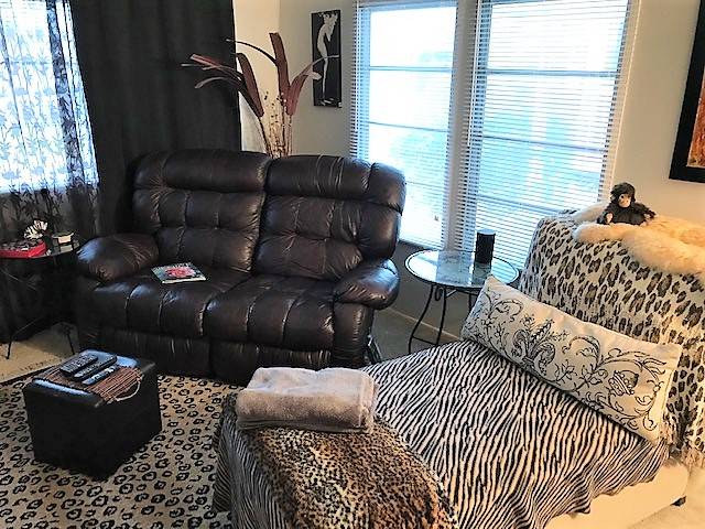 Mobile Home Living Room Decorating Ideas