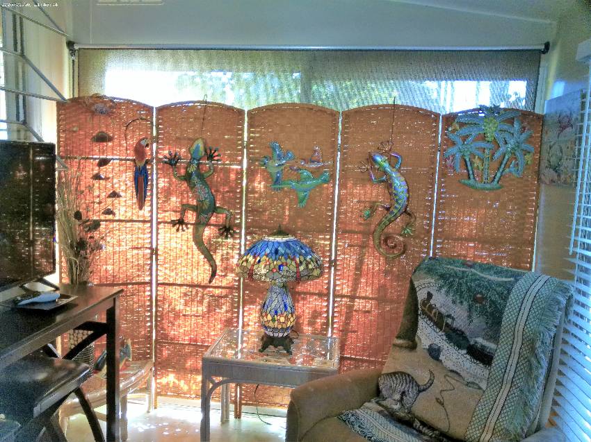 Mobile Home Living Room Decorating Ideas