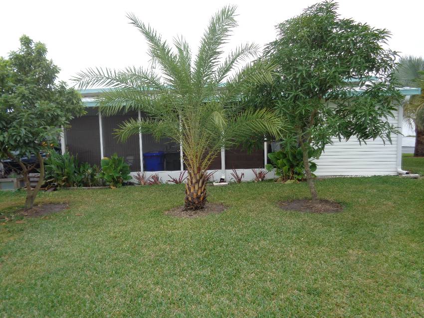317 Lighthouse Way a Lakeland, FL Mobile or Manufactured Home for Sale