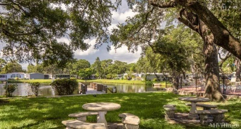 15777 Bolesta Road #152 a Clearwater, FL Mobile or Manufactured Home for Sale