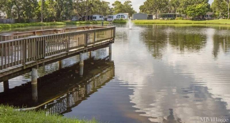 15777 Bolesta Road #152 a Clearwater, FL Mobile or Manufactured Home for Sale