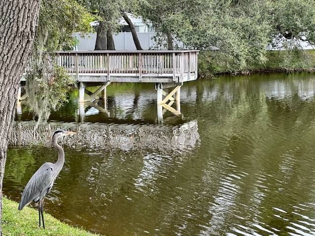 15777 Bolesta Road #152 a Clearwater, FL Mobile or Manufactured Home for Sale