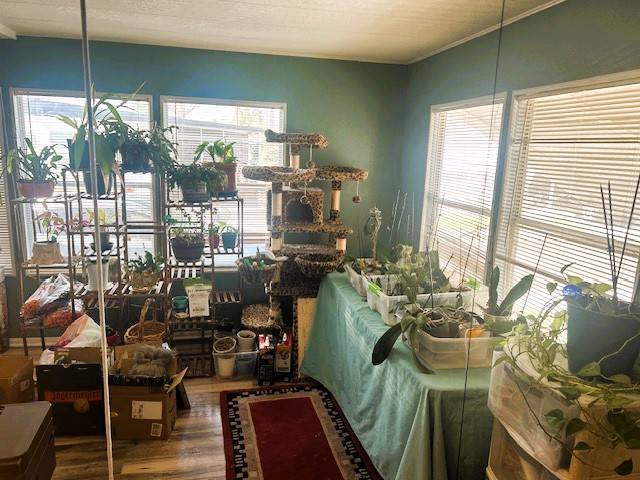 6010 Cheers Dr a Port Richey, FL Mobile or Manufactured Home for Sale
