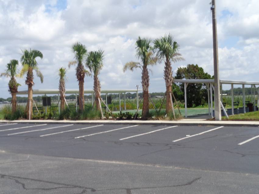 921 Fountainview Lake Dr a Lakeland, FL Mobile or Manufactured Home for Sale