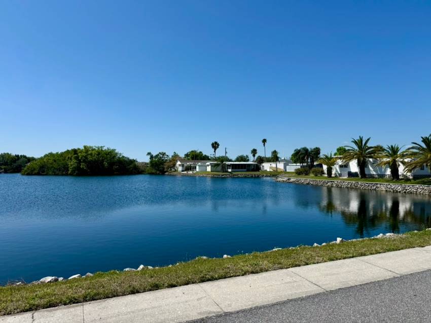 1415 Main St Lot 271 a Dunedin, FL Mobile or Manufactured Home for Sale