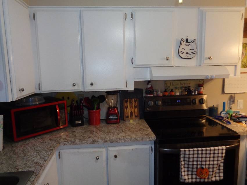 134 Joyce Place a Lakeland, FL Mobile or Manufactured Home for Sale
