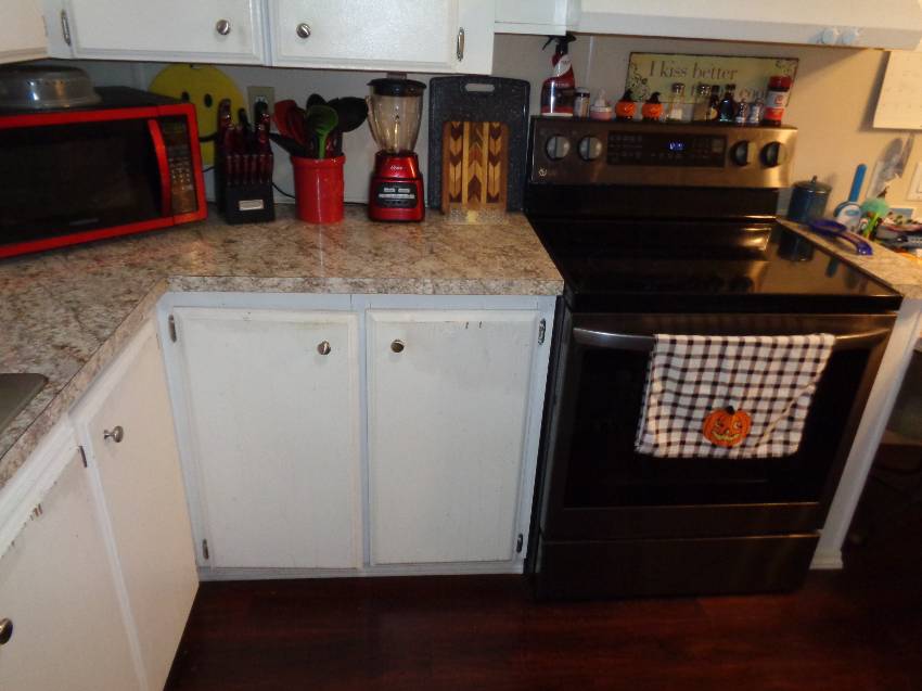 134 Joyce Place a Lakeland, FL Mobile or Manufactured Home for Sale