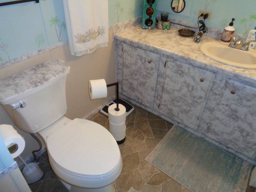134 Joyce Place a Lakeland, FL Mobile or Manufactured Home for Sale