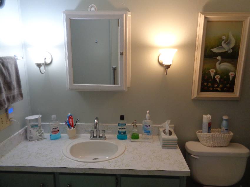 220 Jay Ave a Lakeland, FL Mobile or Manufactured Home for Sale