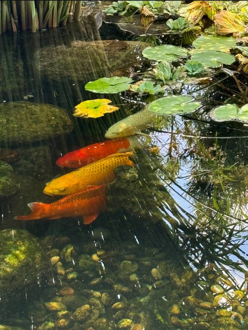 6960 W Eatonshire Path a Homosassa, FL Mobile or Manufactured Home for Sale