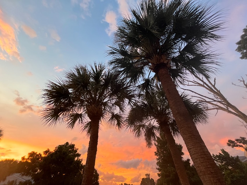 13210 Lemon Ave a Grand Island, FL Mobile or Manufactured Home for Sale