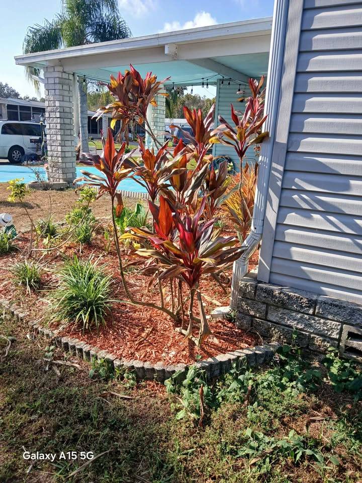 703 Royal Forest Drive a Auburndale, FL Mobile or Manufactured Home for Sale