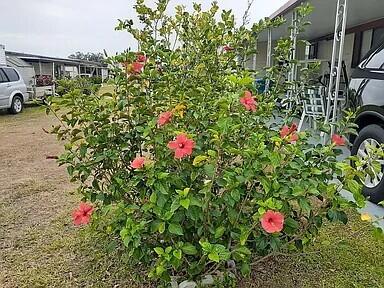 1010 Michigan Street a Fort Meade, FL Mobile or Manufactured Home for Sale