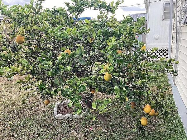 1010 Michigan Street a Fort Meade, FL Mobile or Manufactured Home for Sale