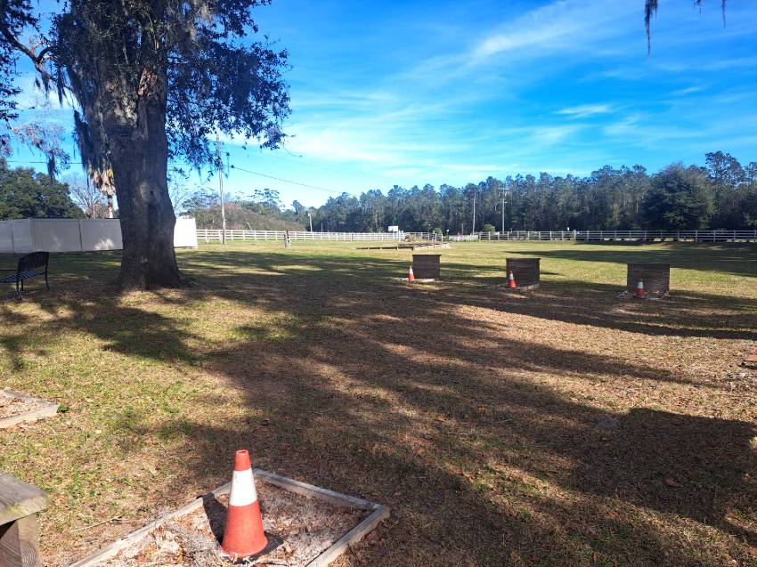 17031 Us Hwy 301 N Lot Sb54 a Dade City, FL Mobile or Manufactured Home for Sale