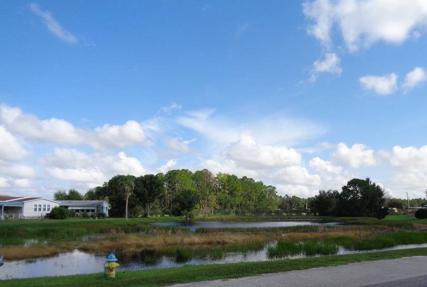 1663 Deverly Dr a Lakeland, FL Mobile or Manufactured Home for Sale