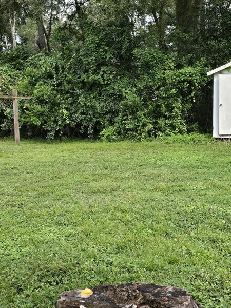 9553 Old Lakeland Highway a Dade City, FL Mobile or Manufactured Home for Sale