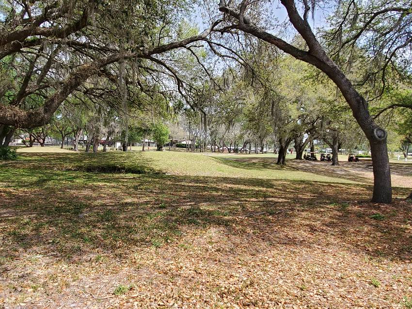 35449 Jomar Ave a Zephyrhills, FL Mobile or Manufactured Home for Sale